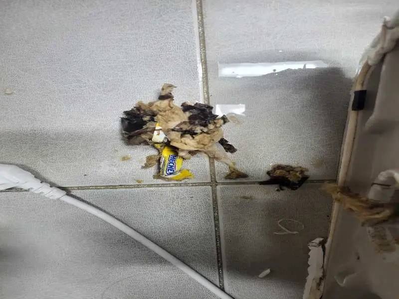 관악구 배관 이물질 제거 사례 2